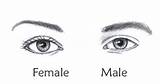Eyebrows Eye Obsessions Eyelashes Cejas Dibujar Olhos Tekenen Ogen Masculinos Males Lashes sketch template