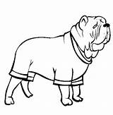 Coloring Mastiff Dog Pug Neapolitan Designlooter Cup Color 612px 46kb sketch template