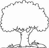 Tree Coloring Pages Clipart Stunning sketch template