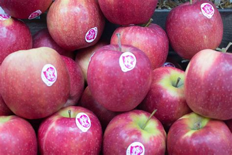 apples pink lady rossco