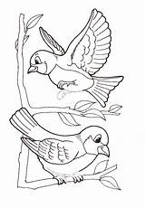 Oiseau Oiseaux Pajaros Pajaritos Uccelli Lecturas Cortas Pájaros Tiernos Comprensivas Rajz Copiare Pajaro Vogel Canari Paisaje Malvorlage Coloringpages Odwiedź Kolorowanki sketch template