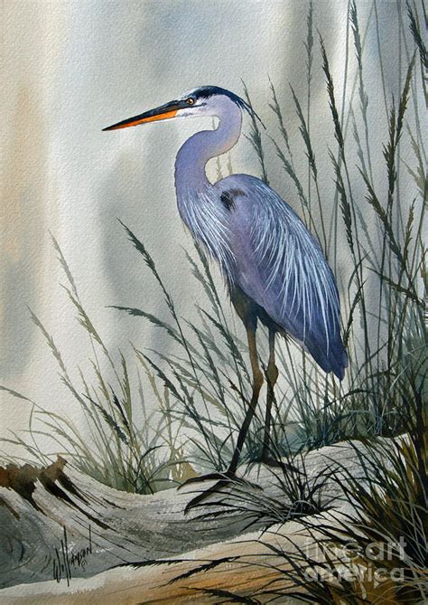 Herons Sheltered Retreat Painting By James Williamson