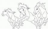 Horse Cimarron Printable Stallion sketch template
