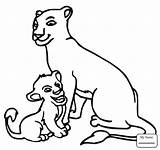 Paw Lion Drawing Coloring Pages Getdrawings sketch template