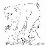 Coloring Pages Bear Printable Baby Cubs Animal Animals Mother Grizzly Print Woodland Color Brown Cub Creatures Bears Supercoloring Para Cartoon sketch template
