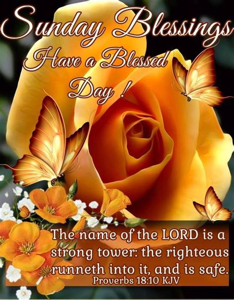 Sunday Blessings Have A Blessed Day Religious Quote