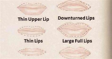 how to contour different lips shapes alldaychic