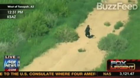 Fox News Broadcasts Man Shooting Himself Live After Car Chase News