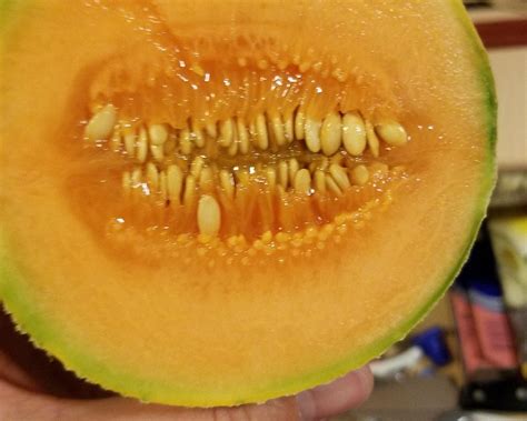 night terror melon pareidolia