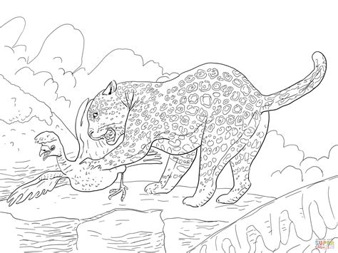 jaguar catches  bird coloring page  printable coloring pages