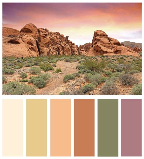 color board mojave desert  vegas inspired color palettes nature