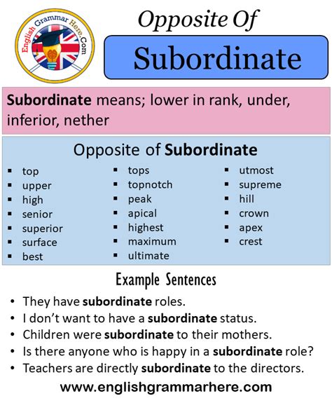 subordinate antonyms  subordinate meaning