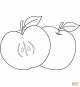 Coloring Pages Apples Apple Two Printable sketch template
