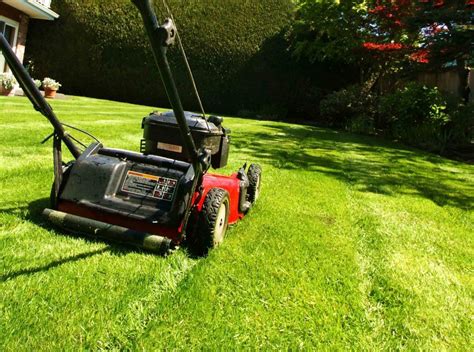 effective lawn care  maintenance tips residence style