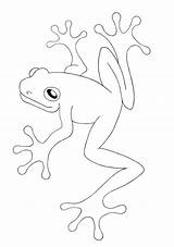 Frog Coloring Cartoon Pages Getdrawings sketch template