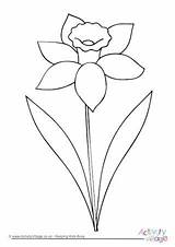 Daffodil Colouring Outline Pages Clip Flower Drawing Easy Kids Simple Color Drawings Clipart Spring Activityvillage Children Getdrawings Choose Board sketch template
