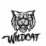 Wildcat Wild Logo Drawing Cat Clipart Clip Wallpapers Silhouette Animals Getdrawings sketch template