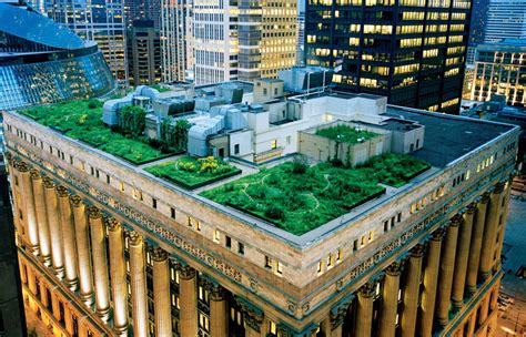 green rooftop dream habituslivingcom