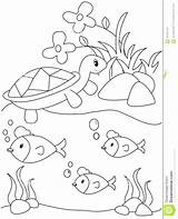 Coloring Fish Turtle Pages Pond Drawing Fnaf Springtrap Kids Color Book Printable Illustration Getdrawings Print Preview sketch template