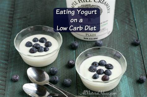 carb yogurt options   keto diet  natural ideas