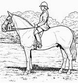 Cheval Cavalier Son Horse 2211 Coloriages Colorier sketch template