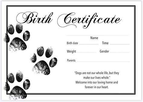 birth certificate template  printable printable templates