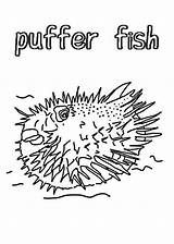 Puffer Fish Coloring Awesome sketch template