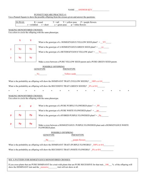 punnett square practice problems worksheet answers