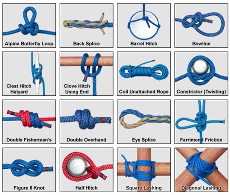 image result  prepper guide  knot knots guide scout knots knots