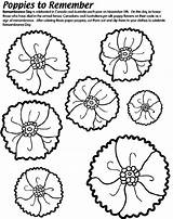 Poppy Coloring Remembrance Poppies Veterans Template Anzac Pages Craft Remember Crayola School Drawing Kids Printable Print Activities Color Colouring Au sketch template