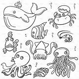 Sea Animal Cartoon Drawings Line Animals Drawing Kids Easy Fish Octopus Whale Read Crab sketch template