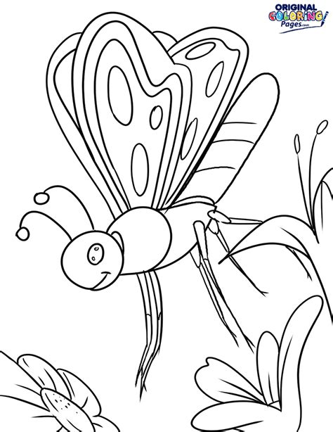 butterfly   flower coloring page coloring pages original