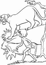 Giungla Mowgli Baloo sketch template