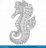 Seahorse Zentangle Stylized Stock Coloring Background Preview sketch template