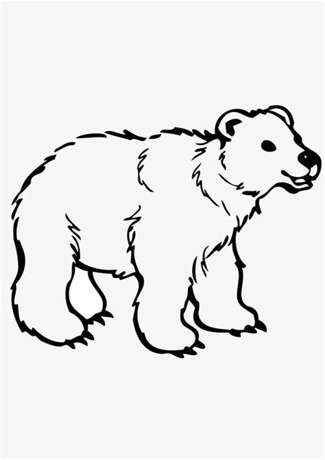 coloring pages baby bear coloring pages