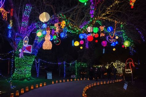 botanical garden holiday lights winners  usa today