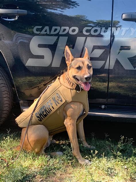 Caddo County Sheriffs Office K9 Receives Body Armor Donation Kfor