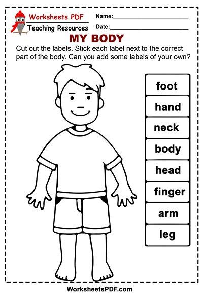 body parts  printables worksheets