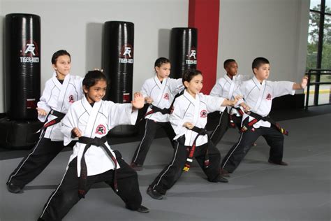 Karate Classes Near Me 77406 Tiger Rock Martial Arts Academy In Katy