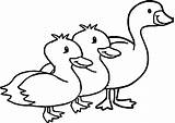 Duck Goose Coloring Pages Animal Nice sketch template