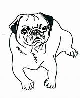 Pug Coloring Pages Dog Cute Color Printable Getcolorings Print sketch template