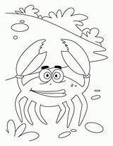 Crab Crackling Coloring4free Line sketch template
