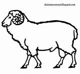Carnero Mewarnai Domba Sketsa Hewan Kolase Carneiro Ariete Pecore Widder Sheep Pecorelle Incantevole Terbaru Silhouetten Supercoloring Binatang Categorieën Diposting sketch template