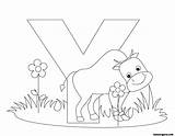 Alphabet Coloring Letter Pages Animal Printable Yak Worksheets Abc Kids Letters Preschool Print Inchworm Color Animals Cute Stock Fastseoguru Royalty sketch template