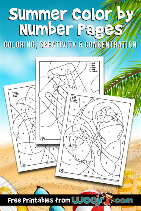 summer color  number pages woo jr kids activities childrens