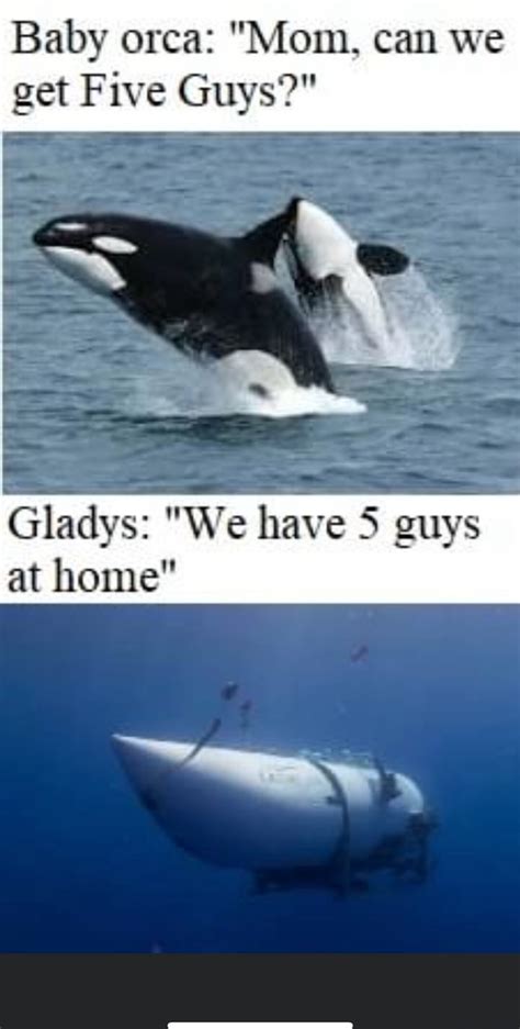 baby orca mom     guys gladys    guys  home