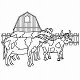 Koeien Ausmalbilder Boerderijdieren Bauernhof Boerenschuur Boerderij Cool2bkids Dieren sketch template