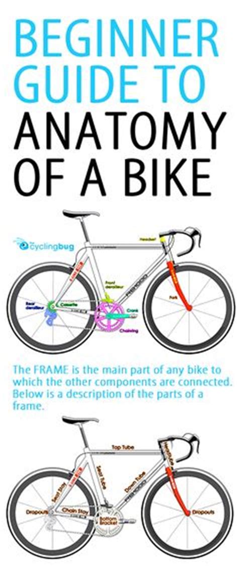 bike parts diagram  anatomy  objects pinterest diagram  bicycling