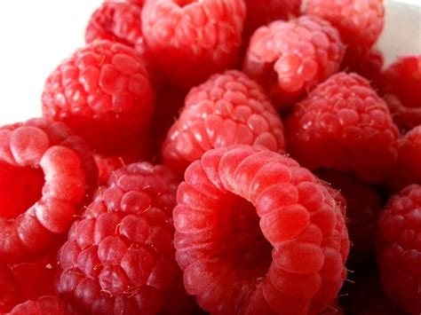 red raspberries  stock photo public domain pictures