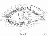 Eyeball Bmo sketch template